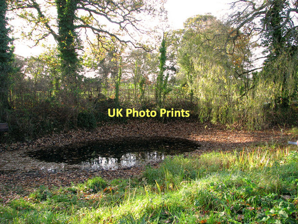 Photo 6"x4" Old horse pond at Foxburrow Farm, Melton Woodbridge\/TM2649 c2011