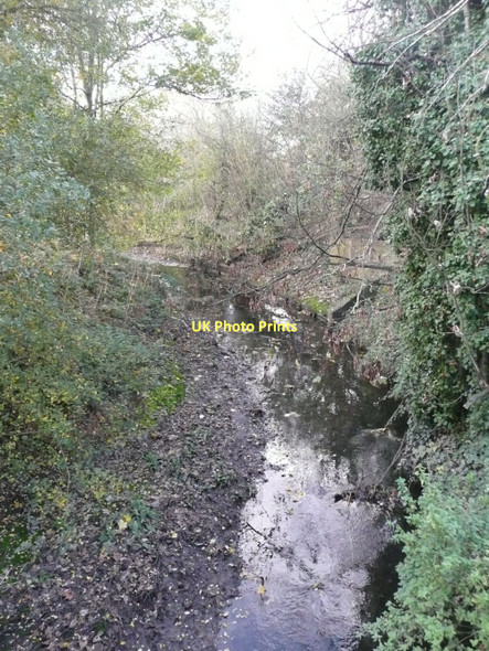 Photo 6"x4" Beverley Brook Barnes c2011 P1