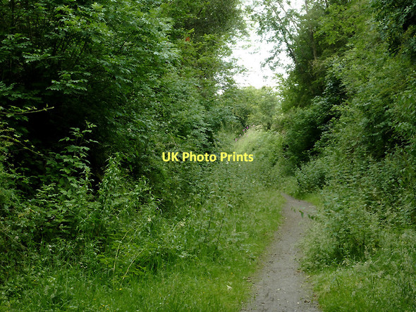 Photo 6"x4" Dismantled railway near Ystradmeurig, Ceredigion Ystradmeurig c2011