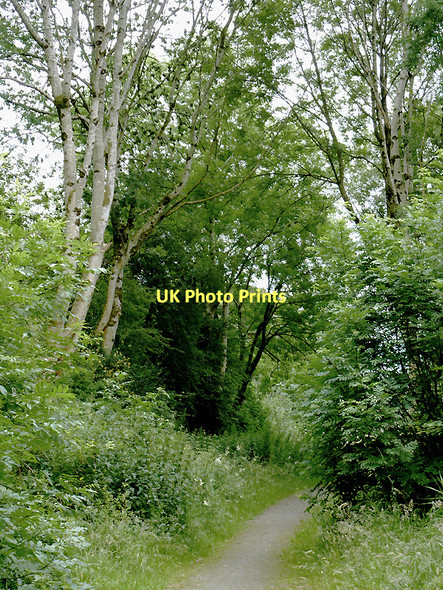 Photo 6"x4" Footpath and cycle route near Ystradmeurig, Ceredigion Ystradmeurig c2011