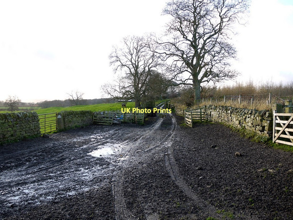 Photo 6"x4" Muddy track east of Halton Aydon c2011