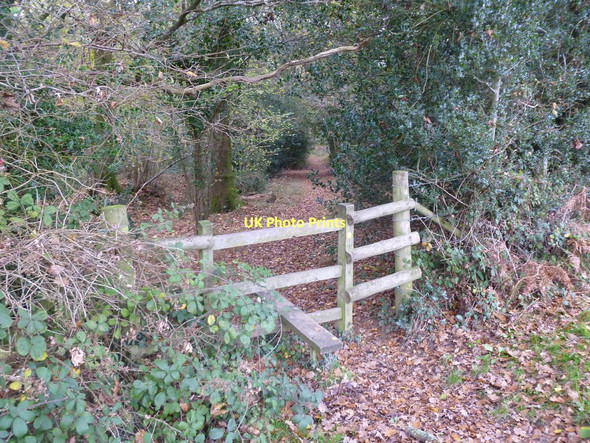 Photo 6"x4" Edmondsham, gate & stile Edmondsham c2011