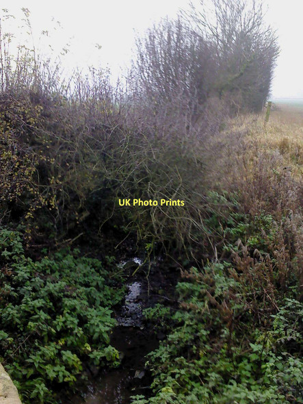 Photo 6"x4" Over-grown Stream Rainton\/SE3775 c2011