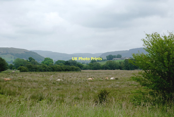 Photo 6"x4" Rough grassland near Ystrad Meurig, Ceredigion Ystradmeurig c2011