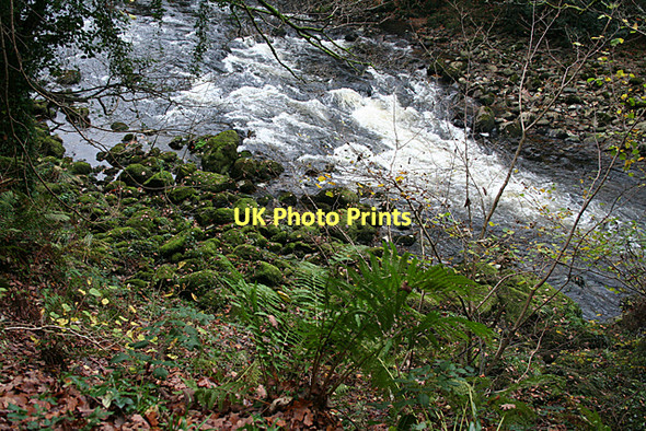Photo 6"x4" Holne: overlooking the Dart Holne c2011