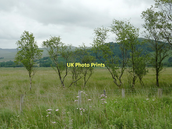 Photo 6"x4" Rough pasture south-west of  Pontrhydfendigaid, Ceredigion Swyddffynnon c2011