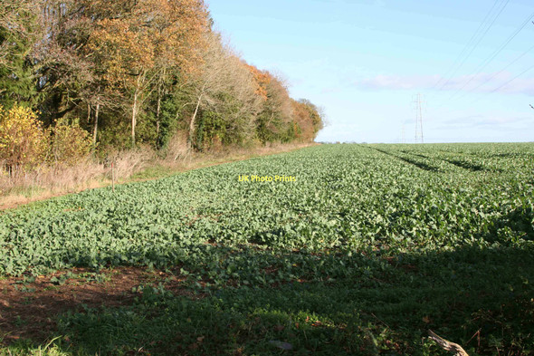 Photo 6"x4" Near Lower Wyke Farm, Hampshire Swampton c2011