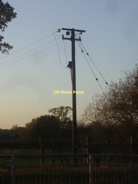 Photo 6"x4" Telegraph pole on Downside Road Downside\/TQ1058 c2011