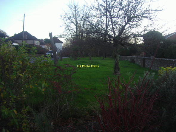 Photo 6"x4" Verge between Bishopsmead Close and Horsley Road East Horsley c2011