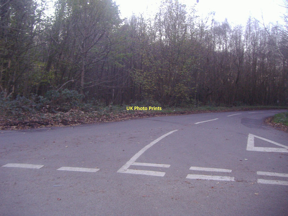 Photo 6"x4" Staple Lane at junction with Combe Lane Shere c2011