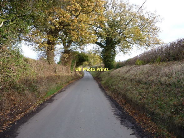 Photo 6"x4" A Roman road - but with a twist Hollyhurst\/SO4797 c2011