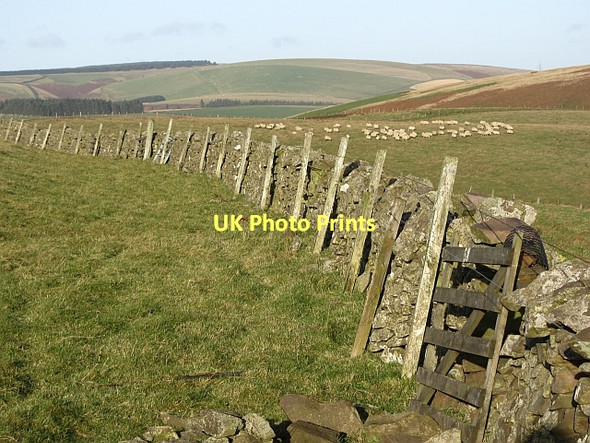 Photo 6"x4" Gap in the dyke, Addinston Hill Addinston c2011