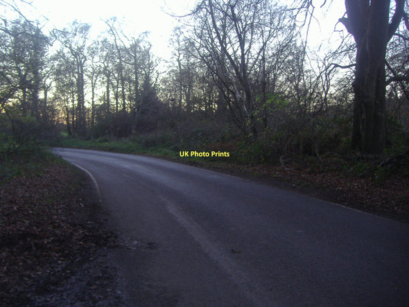 Photo 6"x4" Coombe Lane, Coombe Bottom Shere c2011