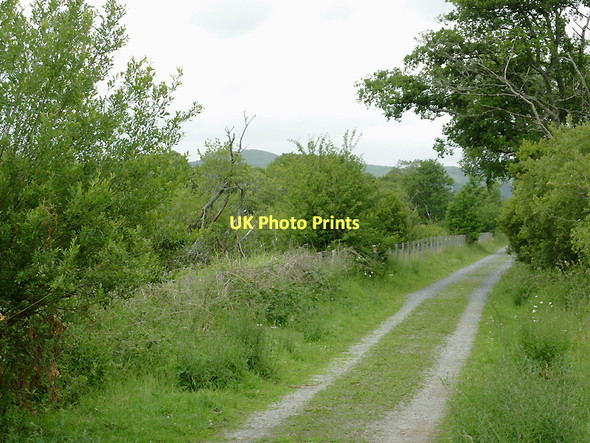 Photo 6"x4" Dismantled railway by Cors Caron, Ceredigion Swyddffynnon c2011