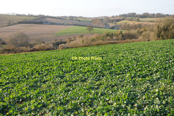 Photo 6"x4" Farmland near Miserden Wishanger c2011