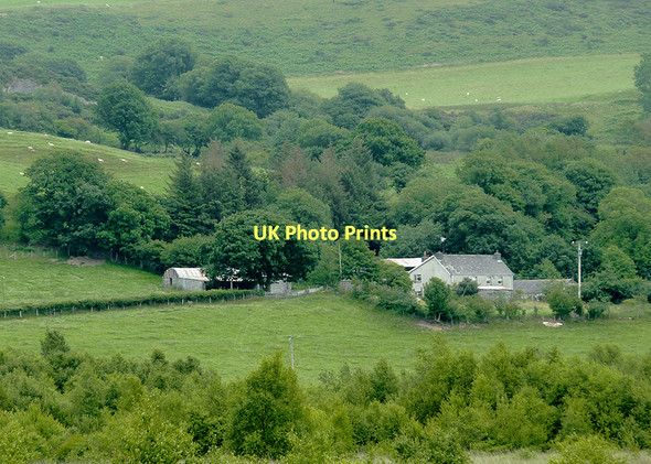 Photo 6"x4" Farmland south-west of Pontrhydfendigaid, Ceredigion Swyddffynnon c2011