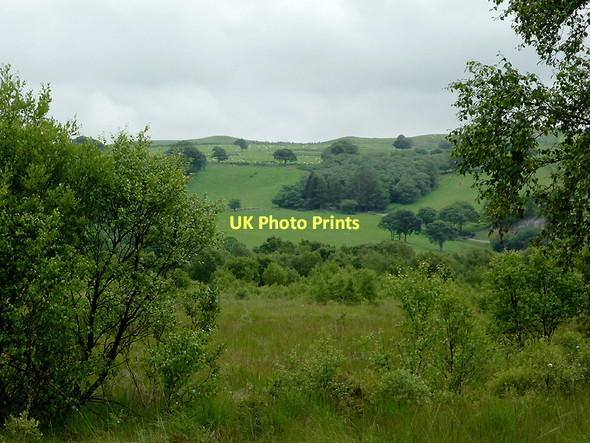 Photo 6"x4" Rough grazing and hillside south-west of Pontrhydfendigaid, Ceredigion Swyddffynnon c2011