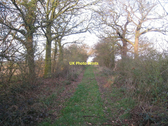 Photo 6"x4" Track to the river bank Blaxton\/SE6700 c2011