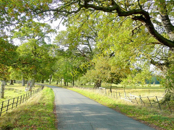 Photo 6"x4" Stanway Park 1 Stanway\/SP0632 c2009