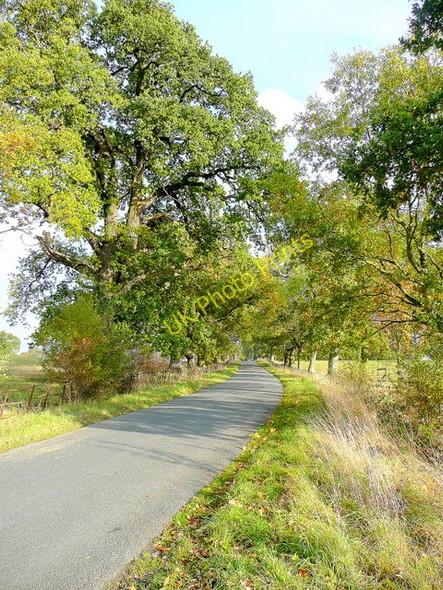 Photo 6"x4" Stanway Park 2 Stanway\/SP0632 c2009