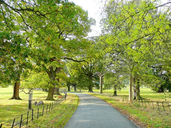 Photo 6"x4" Stanway Park 4 Stanway\/SP0632 c2009