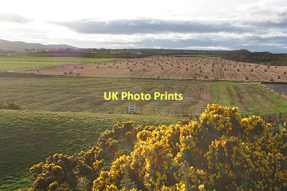 Photo 6"x4" Near Kildrummie Moss-side\/NH8555 c2011