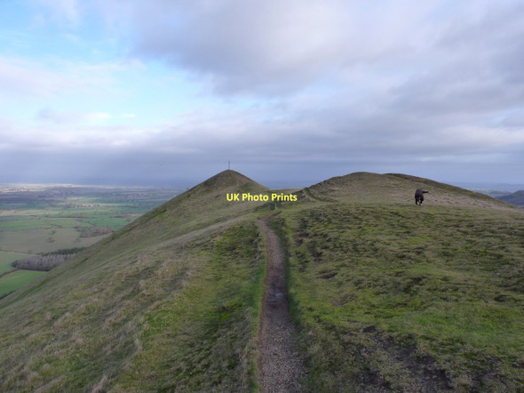 Photo 6"x4" Daft dog on the summit ridge of The Lawley Comley\/SO4896 c2011