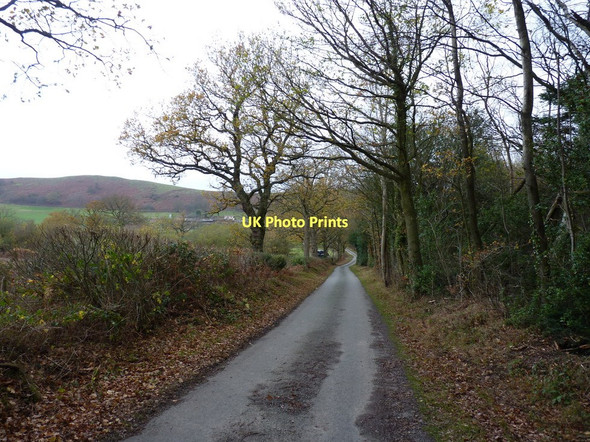 Photo 6"x4" Autumn on the lane into Lawley Broome\/SO5298 c2011