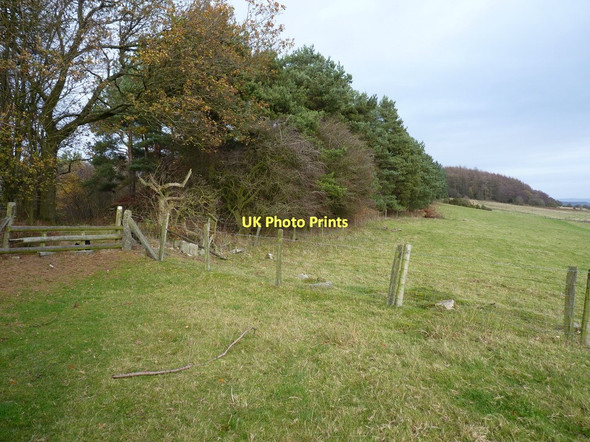 Photo 6"x4" Stile and footpath at the edge of Birch Coppice Broome\/SO5298 c2011