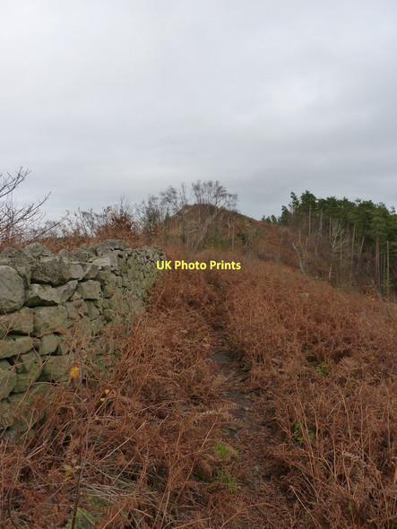 Photo 6"x4" Dry stone wall near the top of Lodge Hill Broome\/SO5298 c2011