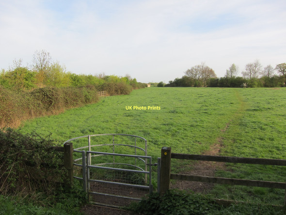 Photo 6"x4" Footpath to Ouse Washes Mepal c2011