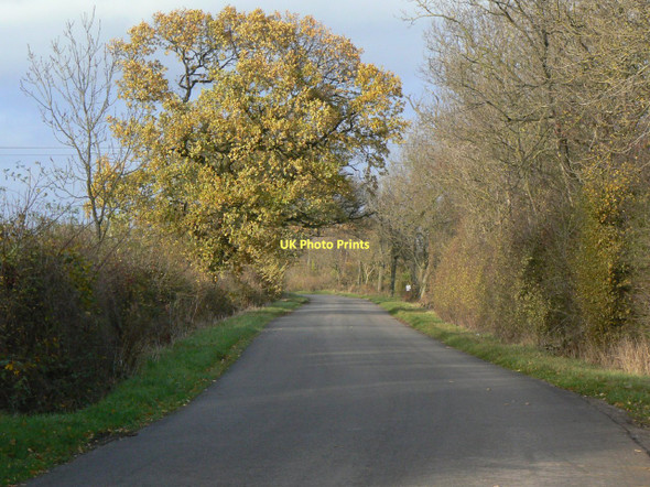 Photo 6"x4" Narrow Lane Six Hills c2011