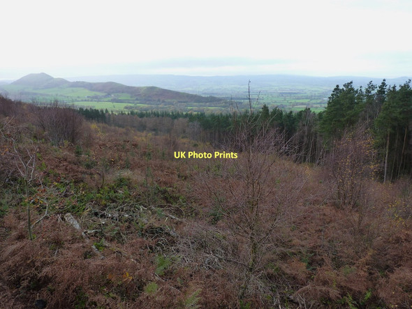 Photo 6"x4" The Lawley from Causeway Coppice Broome\/SO5298 c2011