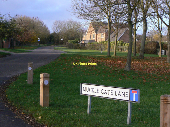 Photo 6"x4" Muckle Gate Lane Seagrave c2011