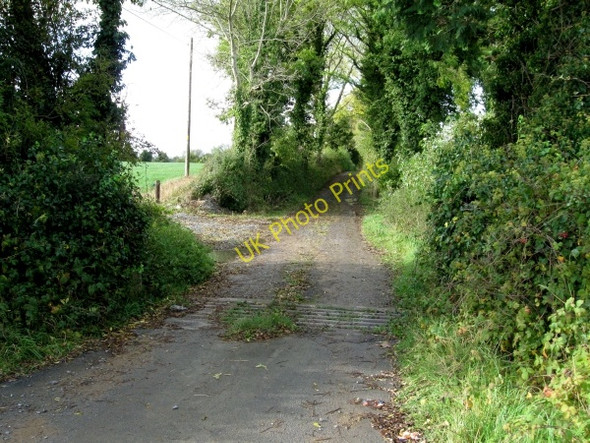 Photo 6"x4" Cattlegrid and Lane Maddockstown c2009