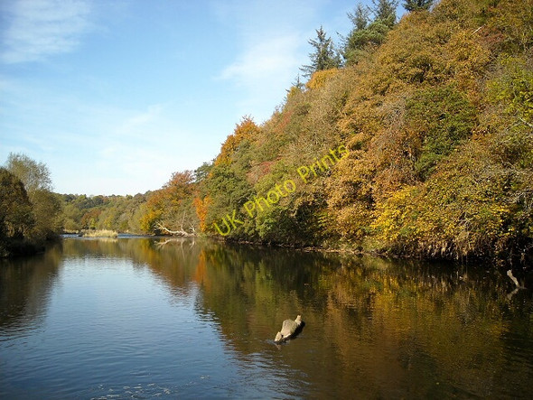 Photo 6"x4" Autumn Colours and River Clyde Dalserf c2009