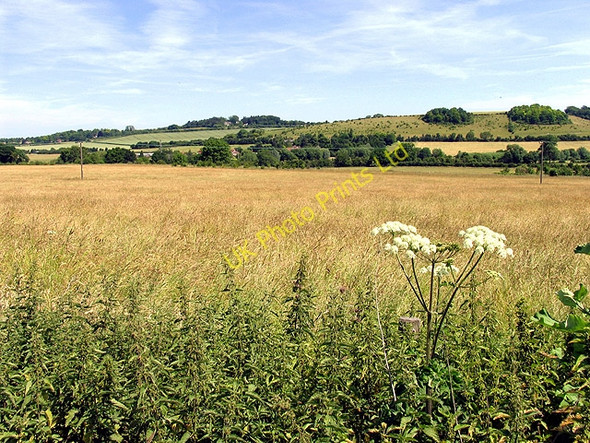 Photo 6"x4" View from the A329 Lower Basildon c2005