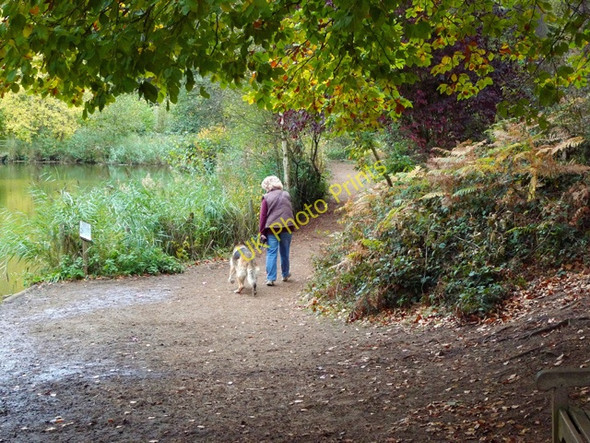 Photo 6"x4" Footpath, Northern Lakeside, Stockgrove Park Fox Corner\/SP9229 c2009
