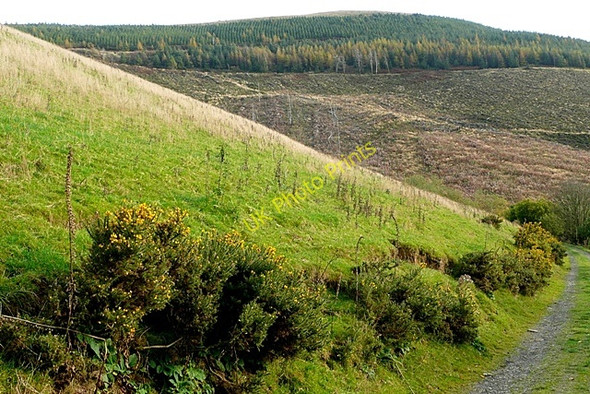 Photo 6"x4" On the Glyndwr Way Domen-ddu c2009