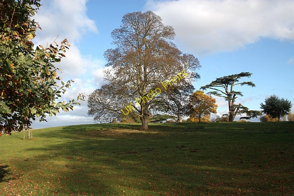 Photo 6"x4" Hartlebury Castle parkland Stourport-on-Severn c2009