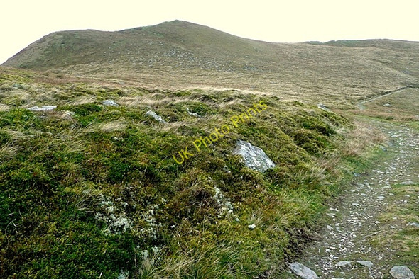 Photo 6"x4" Towards Yr Orsedd Gorddinog c2009