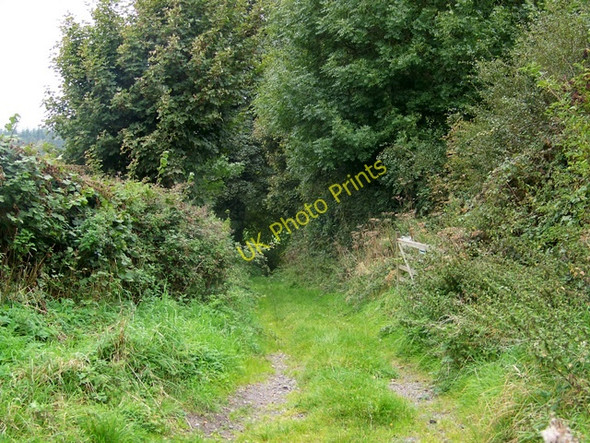 Photo 6"x4" Footpath near Norton Ferris Gare Hill c2009