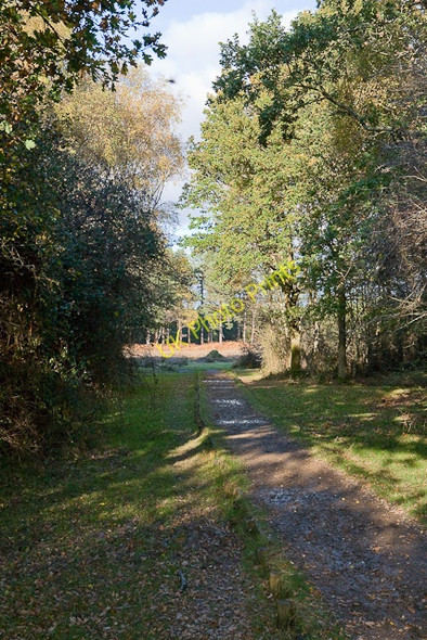 Photo 6"x4" Causeway approaching Poundhill Heath North Weirs c2009