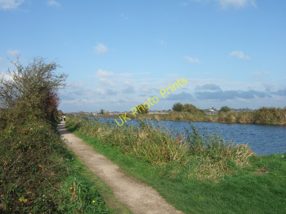 Photo 6"x4" Exeter Canal and Exe Valley Way Exton\/SX9886 c2009