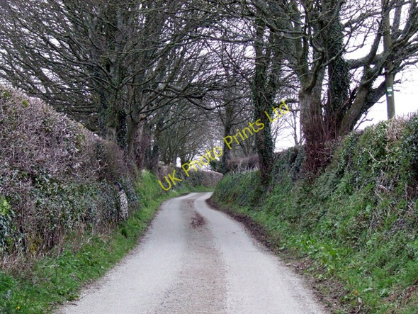 Photo 6"x4" Country lane near to Dwyran Dwyran c2006