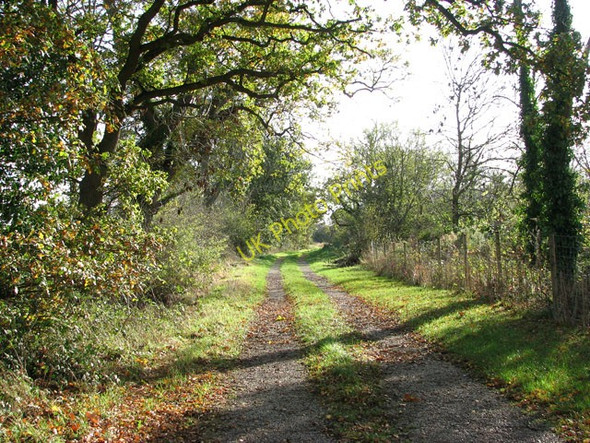Photo 6"x4" Track leading south from Grub Street Howe\/TM2799 c2009