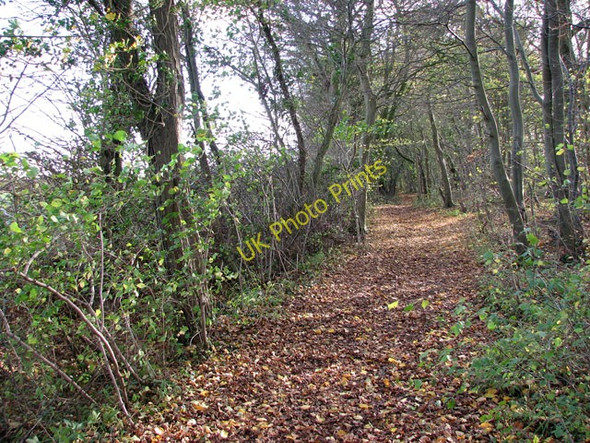 Photo 6"x4" This way to Kirstead Green Howe\/TM2799 c2009