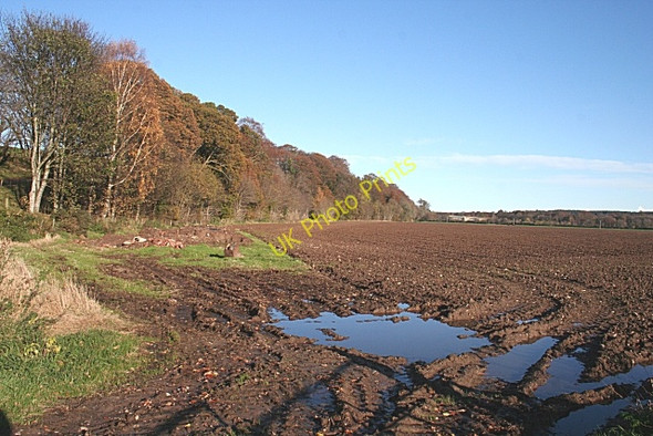 Photo 6"x4" Fields near Dipple Fochabers c2009