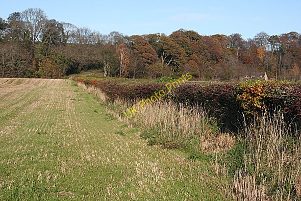 Photo 6"x4" Near Dipple Fochabers c2009