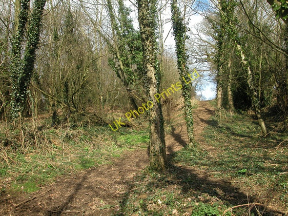 Photo 6"x4" South Newington bridleway South Newington c2006